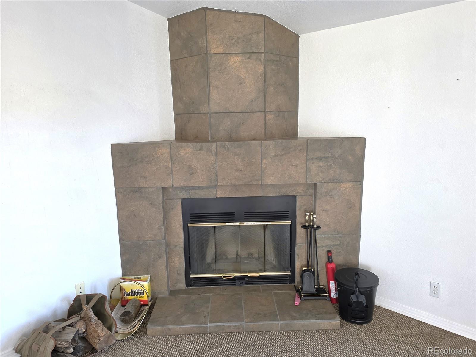 3580 Singletree Road Hartsel, CO 80449 - Photo 7 of 33