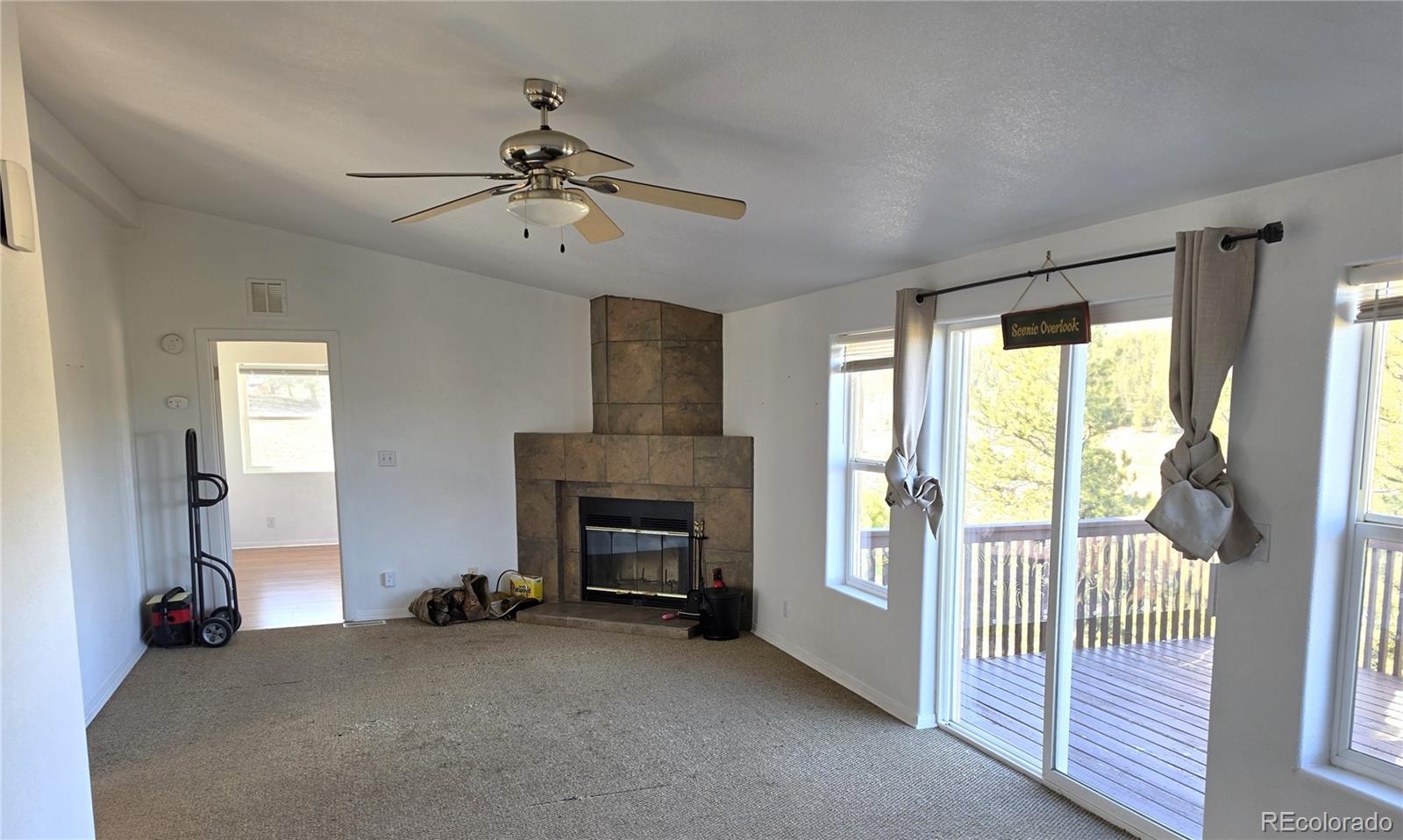 3580 Singletree Road Hartsel, CO 80449 - Photo 8 of 33