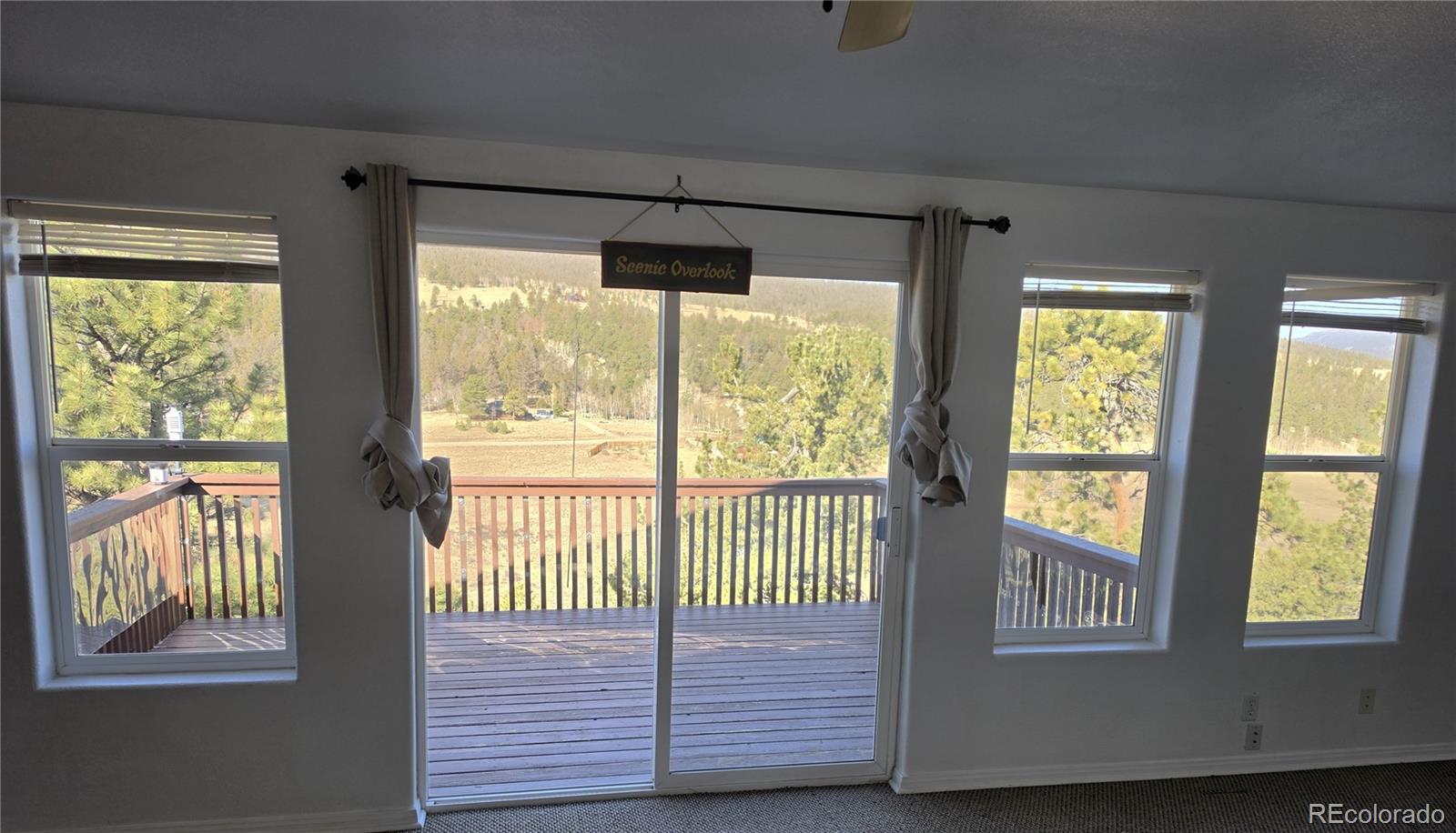 3580 Singletree Road Hartsel, CO 80449 - Photo 9 of 33