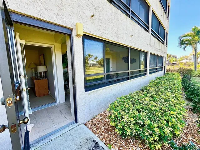 a view of a yard with plants and trees