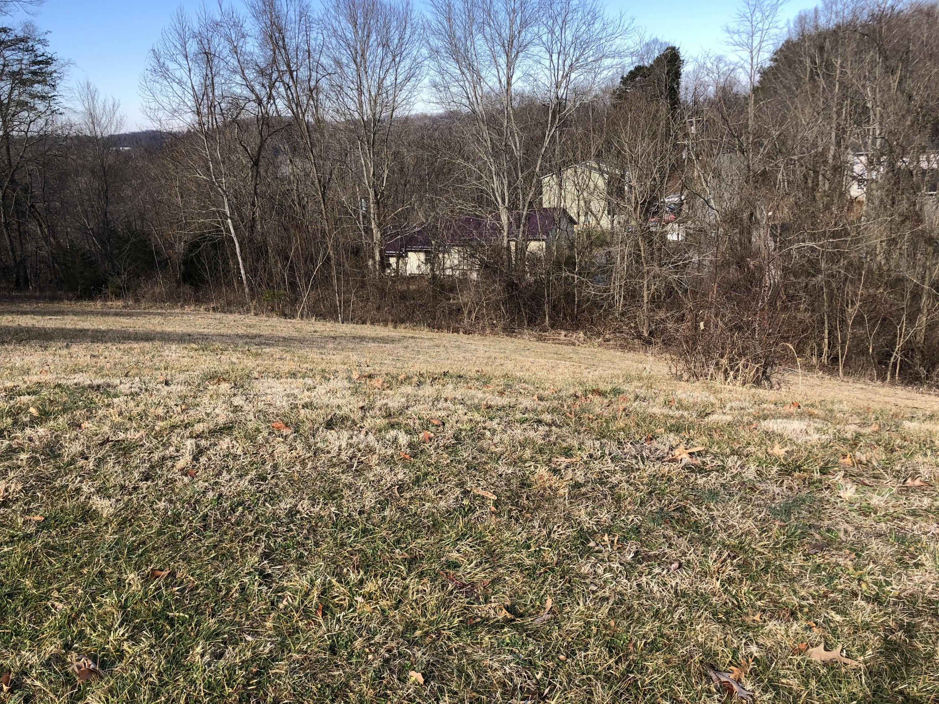 Tbd Stonebrook Loop, Unit 38 Elizabethton, TN 37643 - Photo 1 of 4 IMG-6786