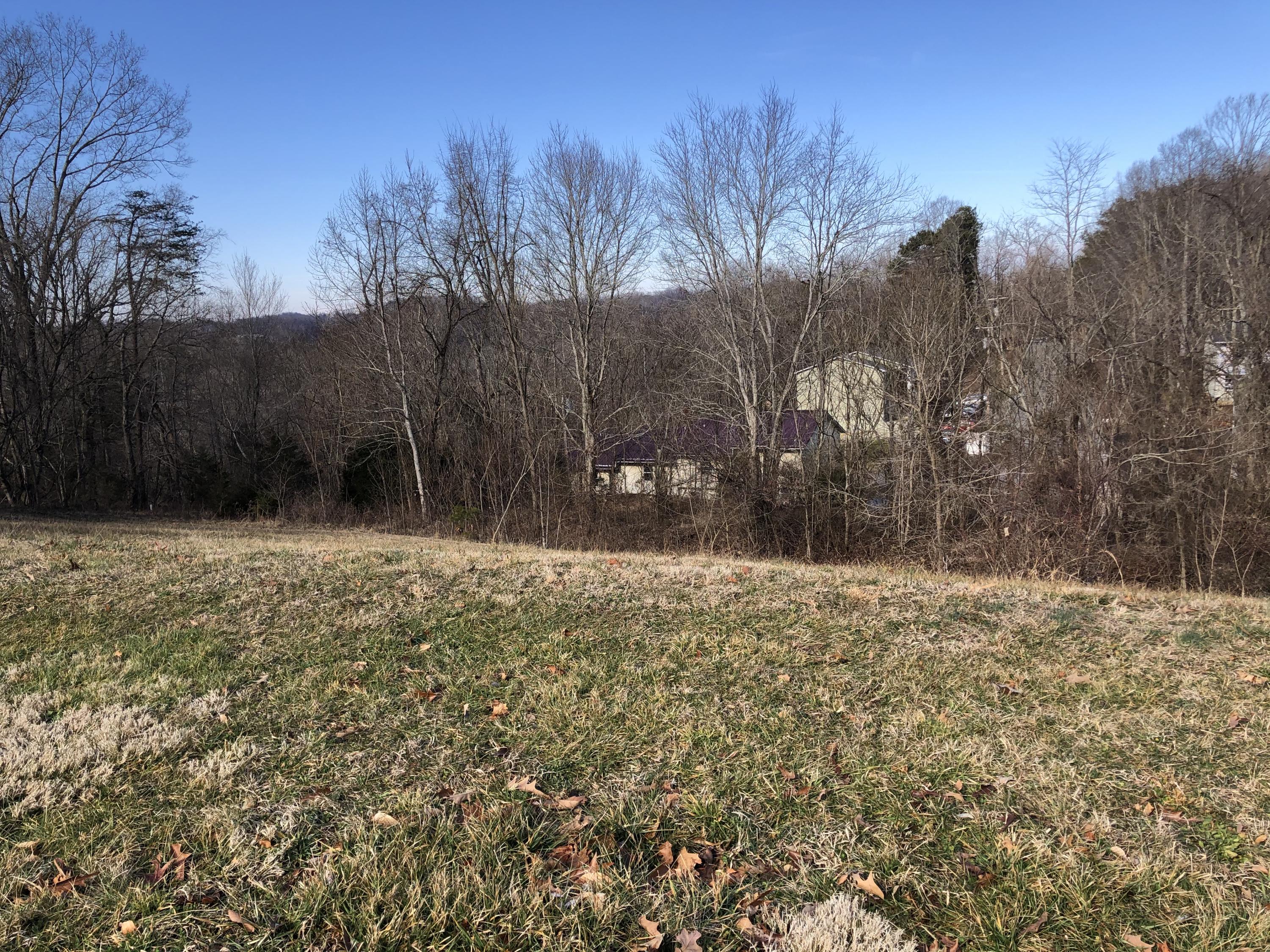 Tbd Stonebrook Loop, Unit 38 Elizabethton, TN 37643 - Photo 2 of 4 IMG-6787