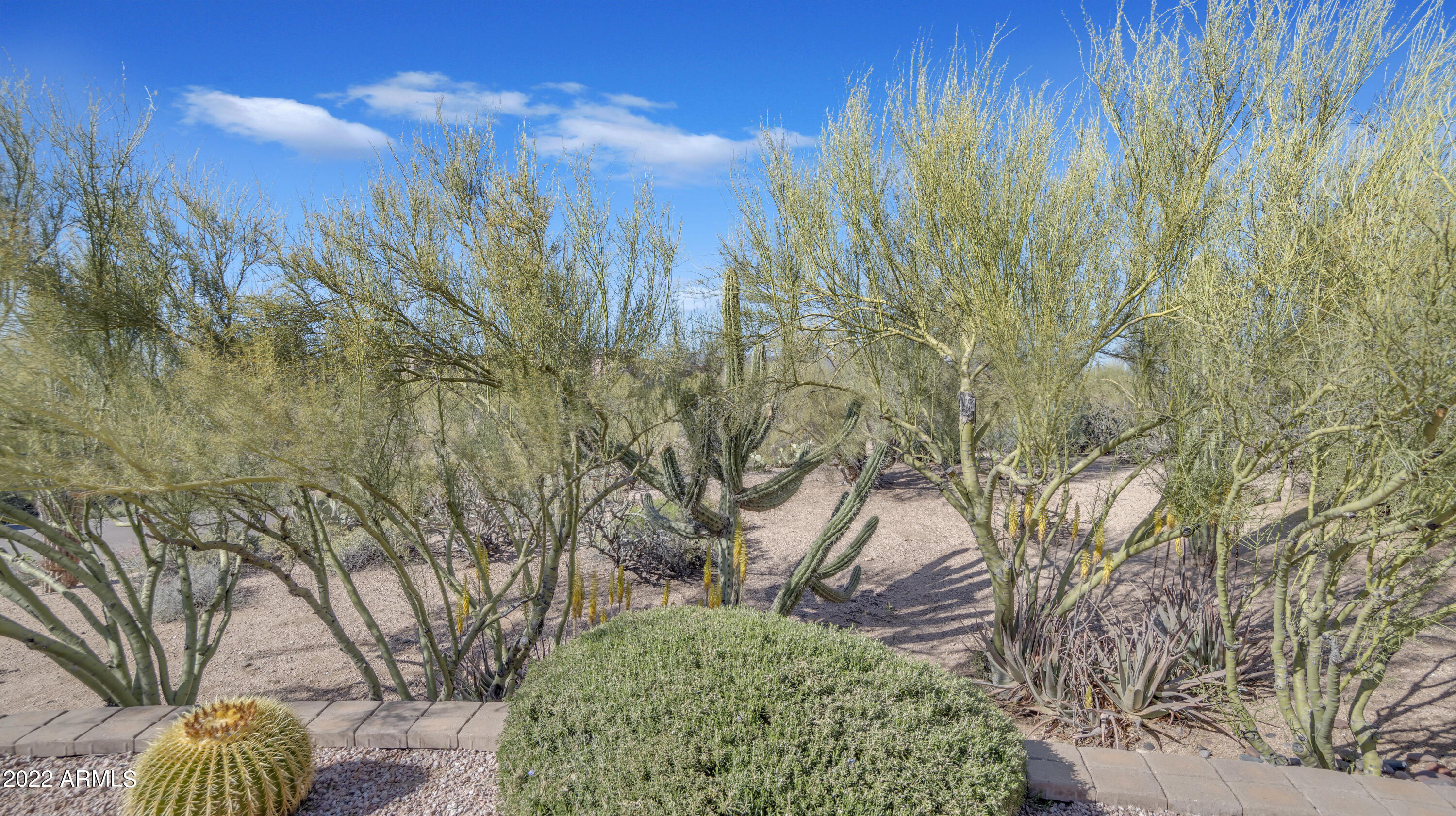 9409 Romping Road Carefree, AZ 85377 - Photo 7 of 60 IMG_9717