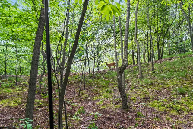 $625,000 | 18716 Sioux Drive, Spring Lake, MI 49456