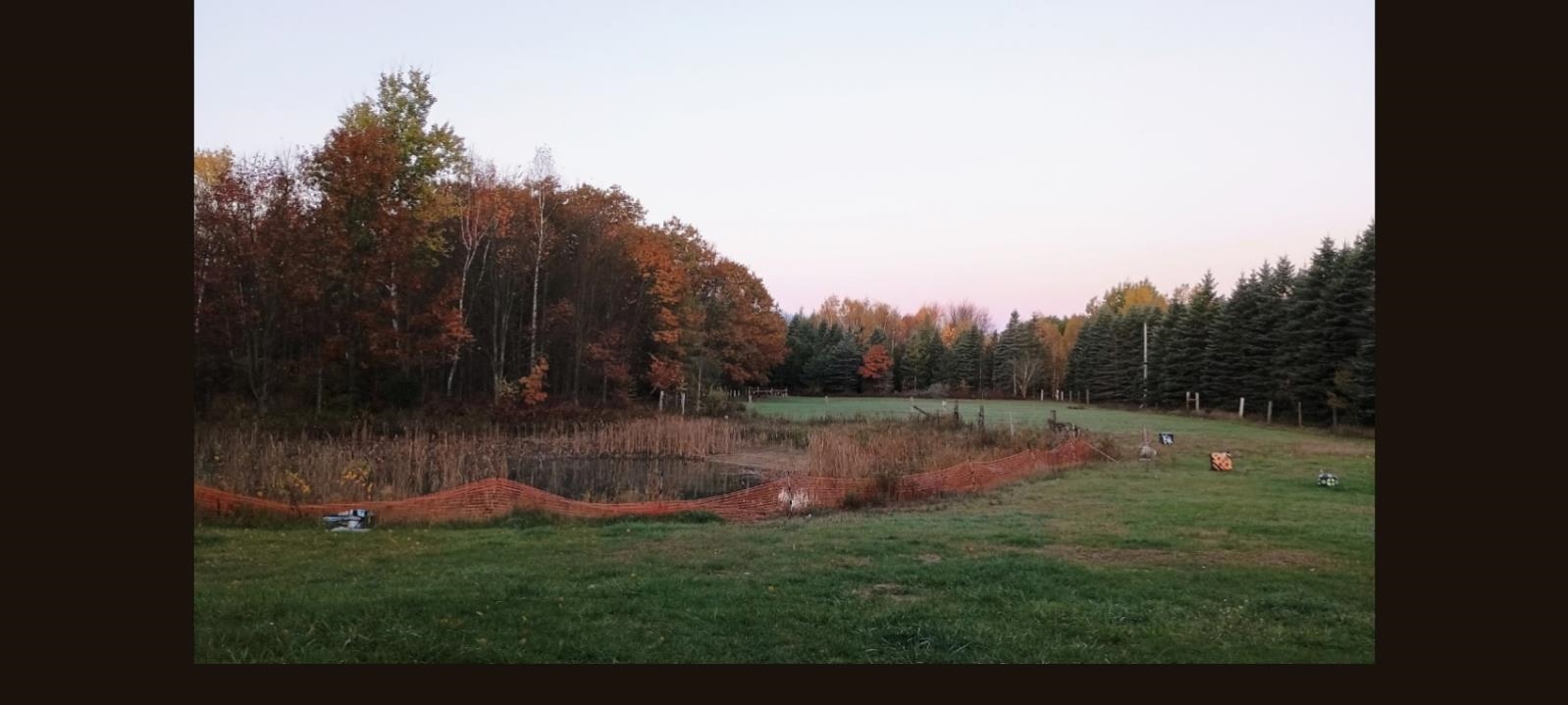 3665 Mill Station Road Hale, MI 48739 - Photo 16 of 19
