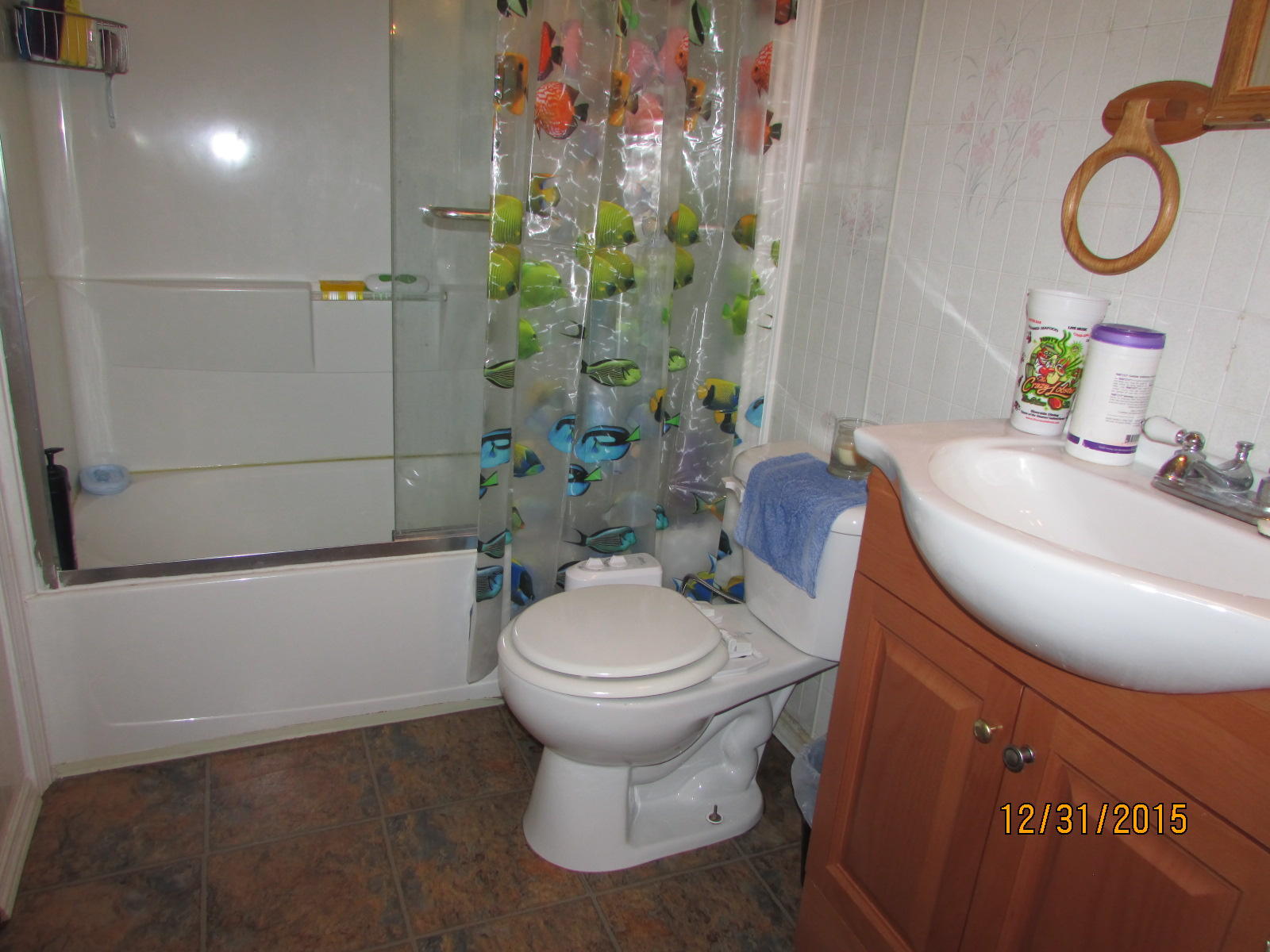 338 Russell Road Rockford, TN 37853 - Photo 8 of 16 028
