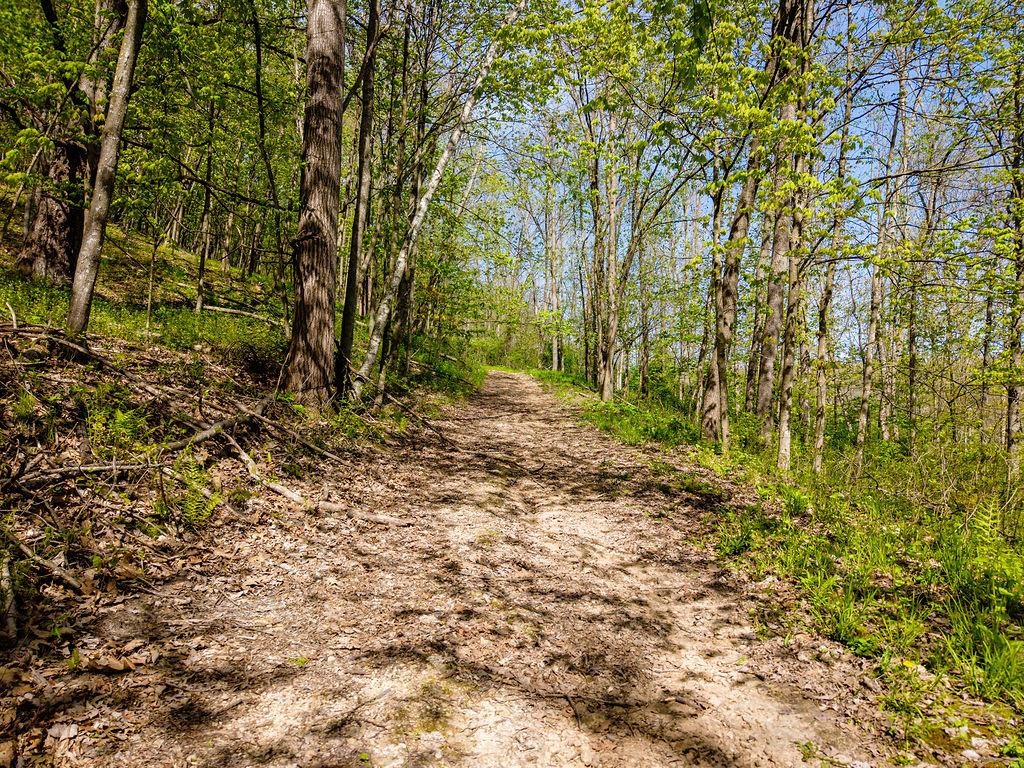 17797 Dayton Ridge Road Muscoda, WI 53573 - Photo 27 of 75