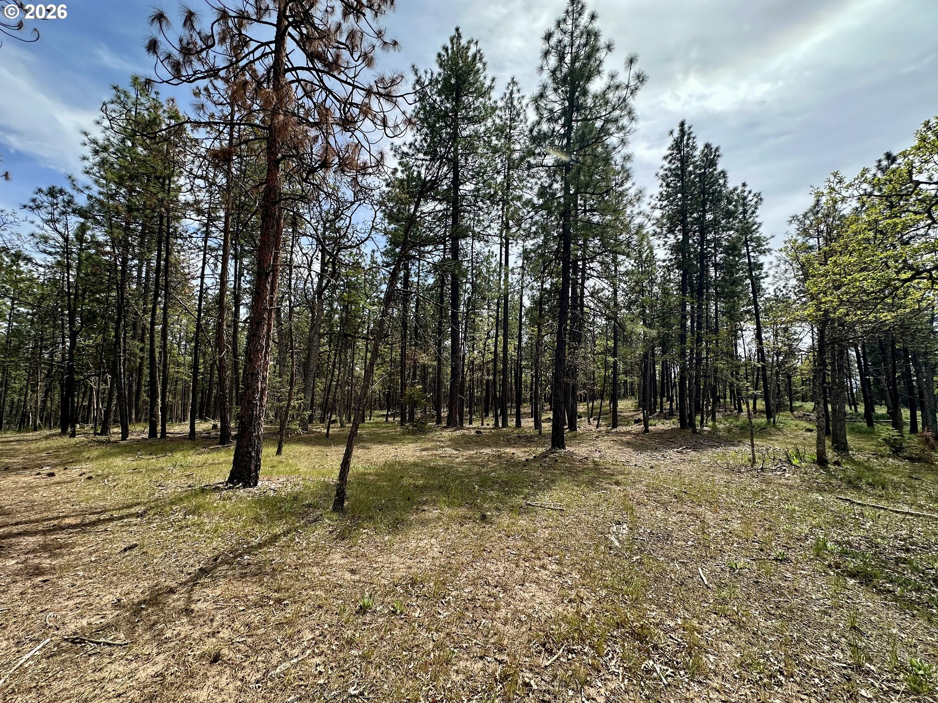 Pipeline Road Goldendale, WA 98620 - Photo 20 of 31 Gallery Image 20
