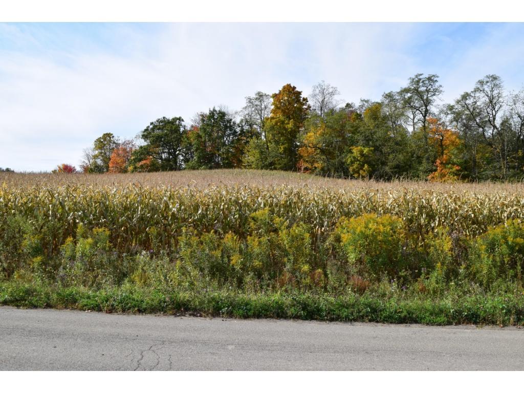 28 Ott Road Candor, NY 13743 - Photo 28 of 28 Gallery Image 28