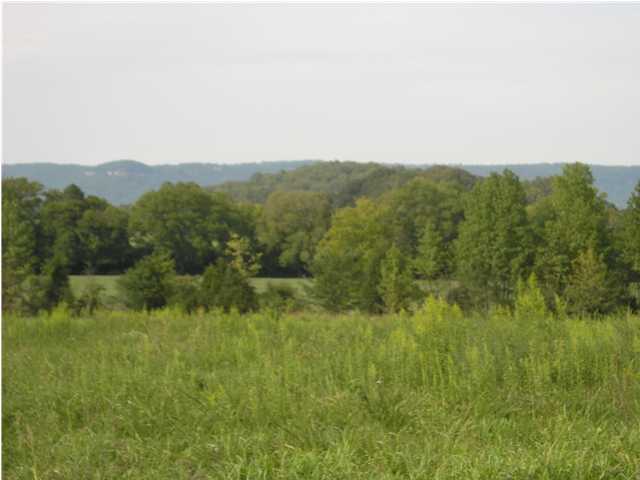 0 Commerce Place Jasper, TN 37347 - Photo 2 of 4 Additional Photo