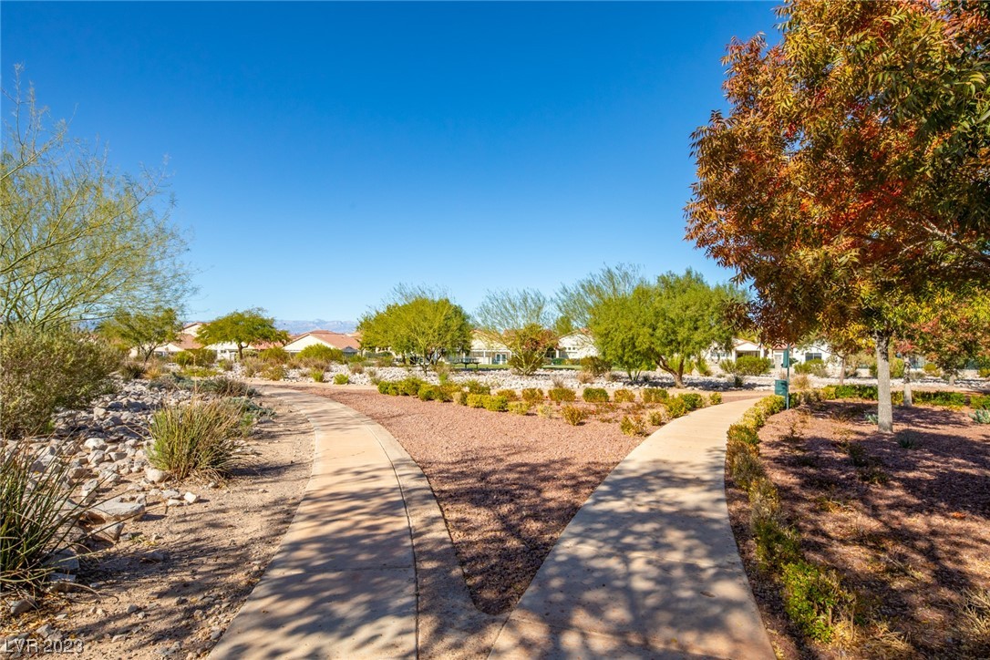 2997 Panorama Ridge Drive Henderson, NV 89052 - Photo 23 of 25
