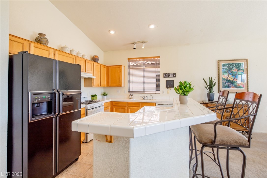 2997 Panorama Ridge Drive Henderson, NV 89052 - Photo 3 of 25