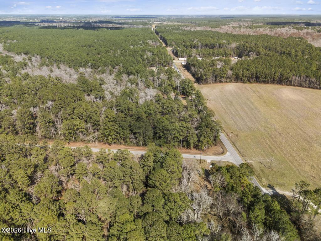 1 Page Road Burgaw, NC 28425 - Photo 6 of 7 DJI_20260306141630_0287_D