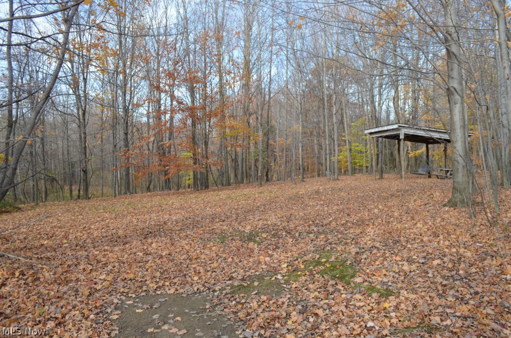 4258 Dayton Road Madison, OH 44057 - Photo 7 of 20 Gallery Image 7