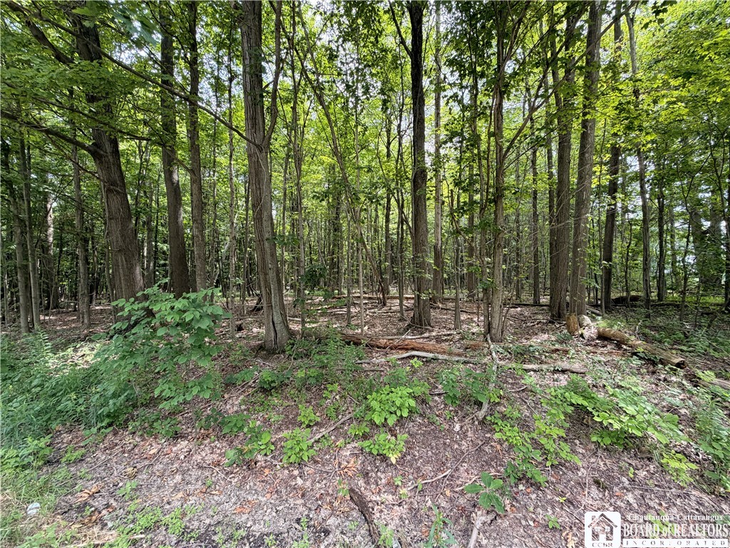 0 Panama-Stedman Road Ashville, NY 14710 - Photo 3 of 5