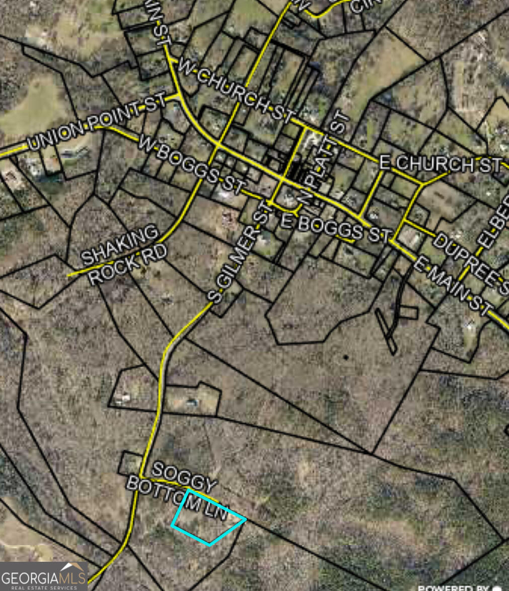 30 Soggy Bottom Road Lexington, GA 30648 - Photo 3 of 3
