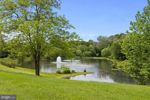 a view of a water pond with green yard