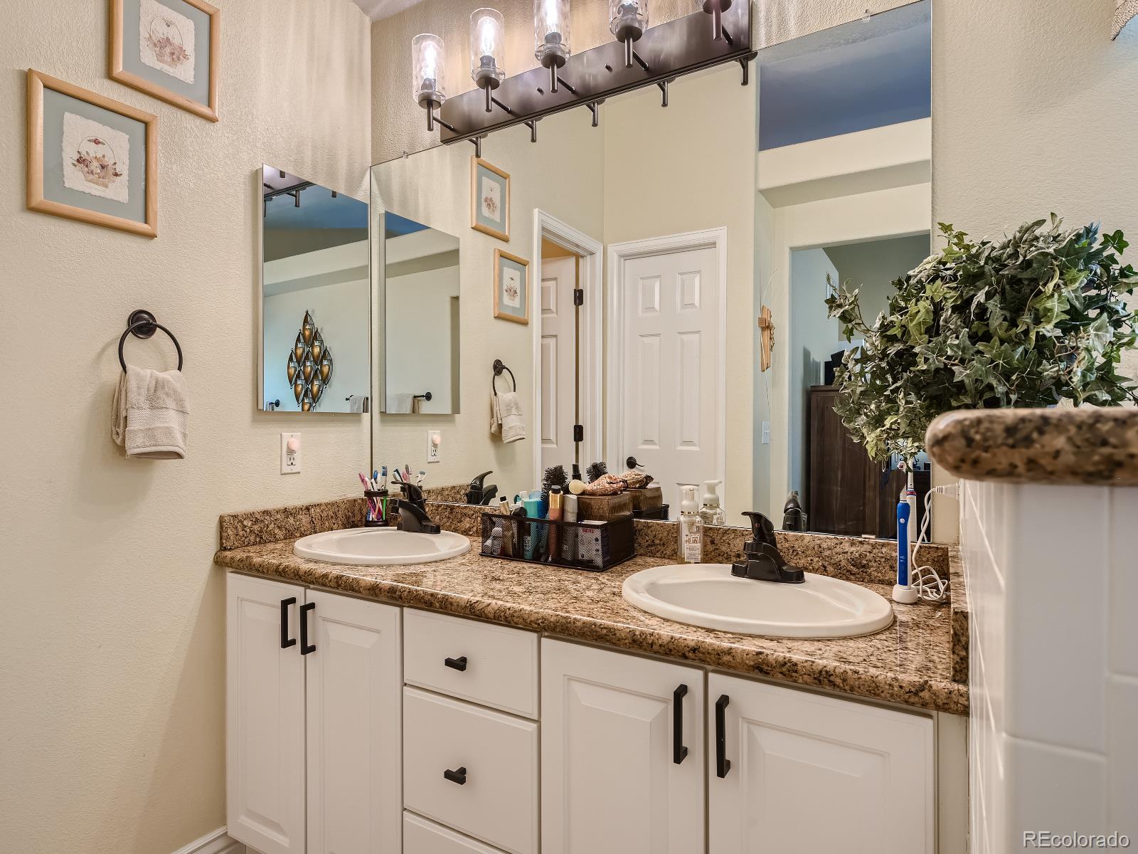 9012 Goosander Way Littleton, CO 80126 - Photo 15 of 27