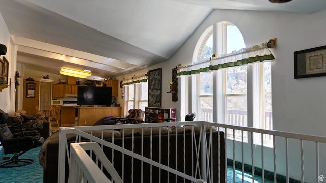 7500 Spring Canyon Road Helper, UT 84526 - Photo 83 of 83 Living area with vaulted ceiling