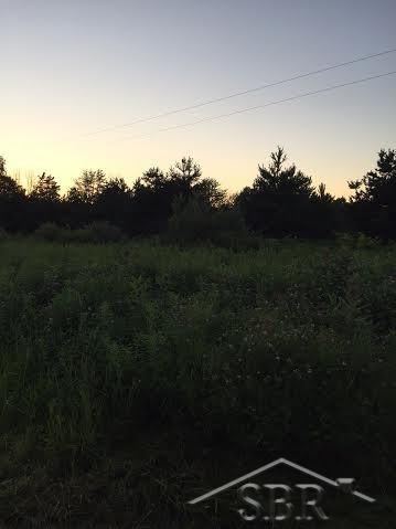 Vl Colvin Road St. Charles, MI 48655 - Photo 1 of 4