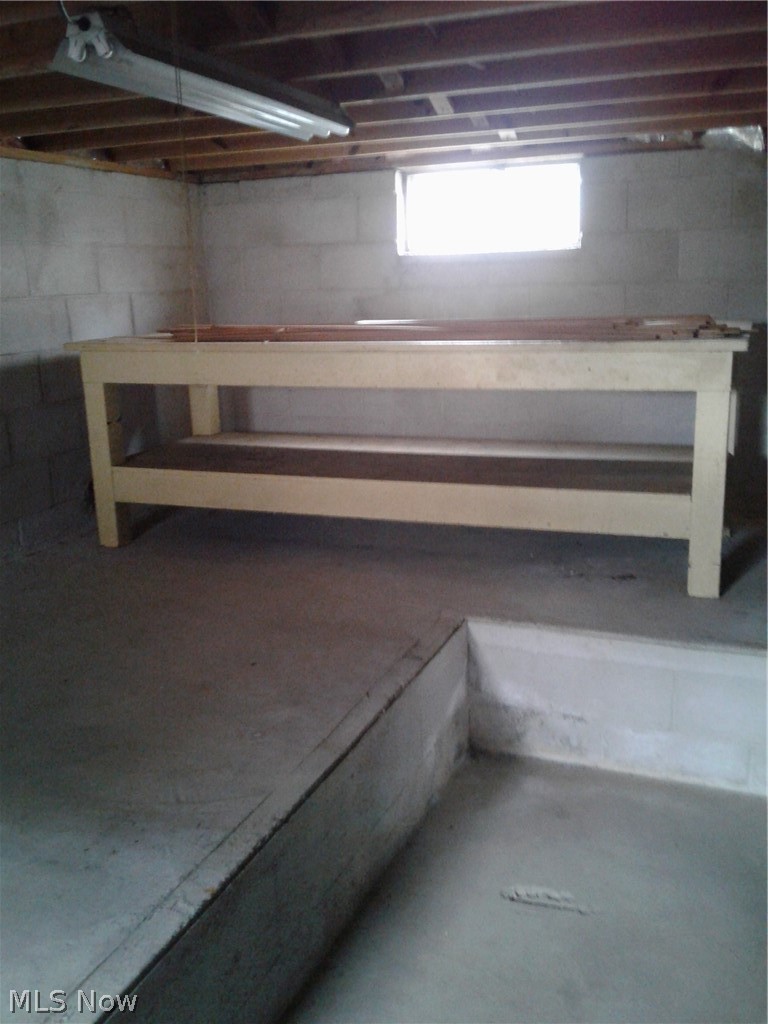613 Jackson Street Amherst, OH 44001 - Photo 24 of 29 Below grade area with Workshop