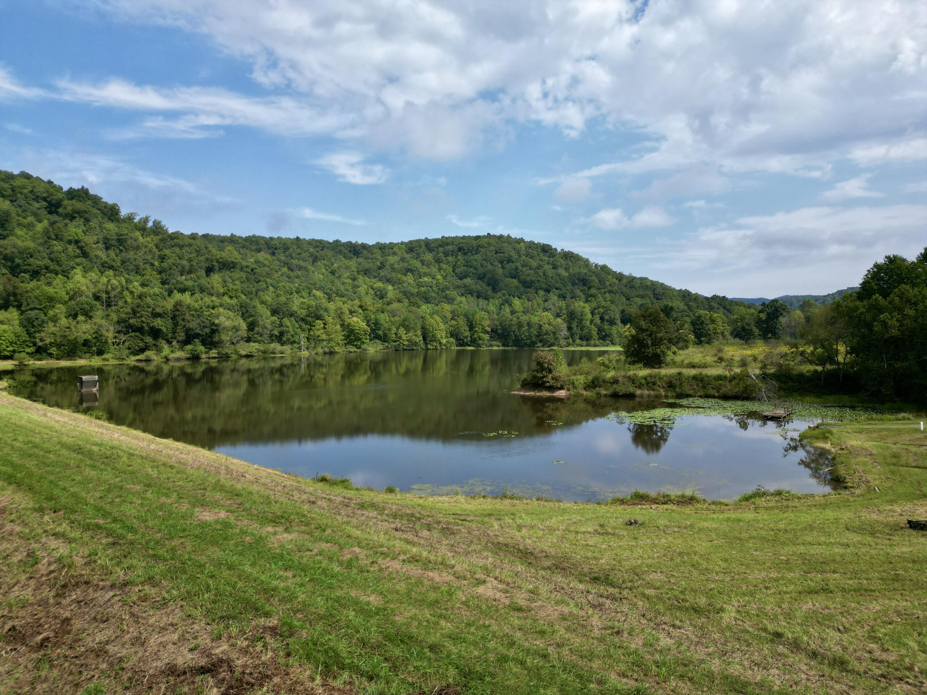 758 Stockton Road Wallingford, KY 41093 - Photo 10 of 90 dji_fly_20260918_100058_792_178975140314