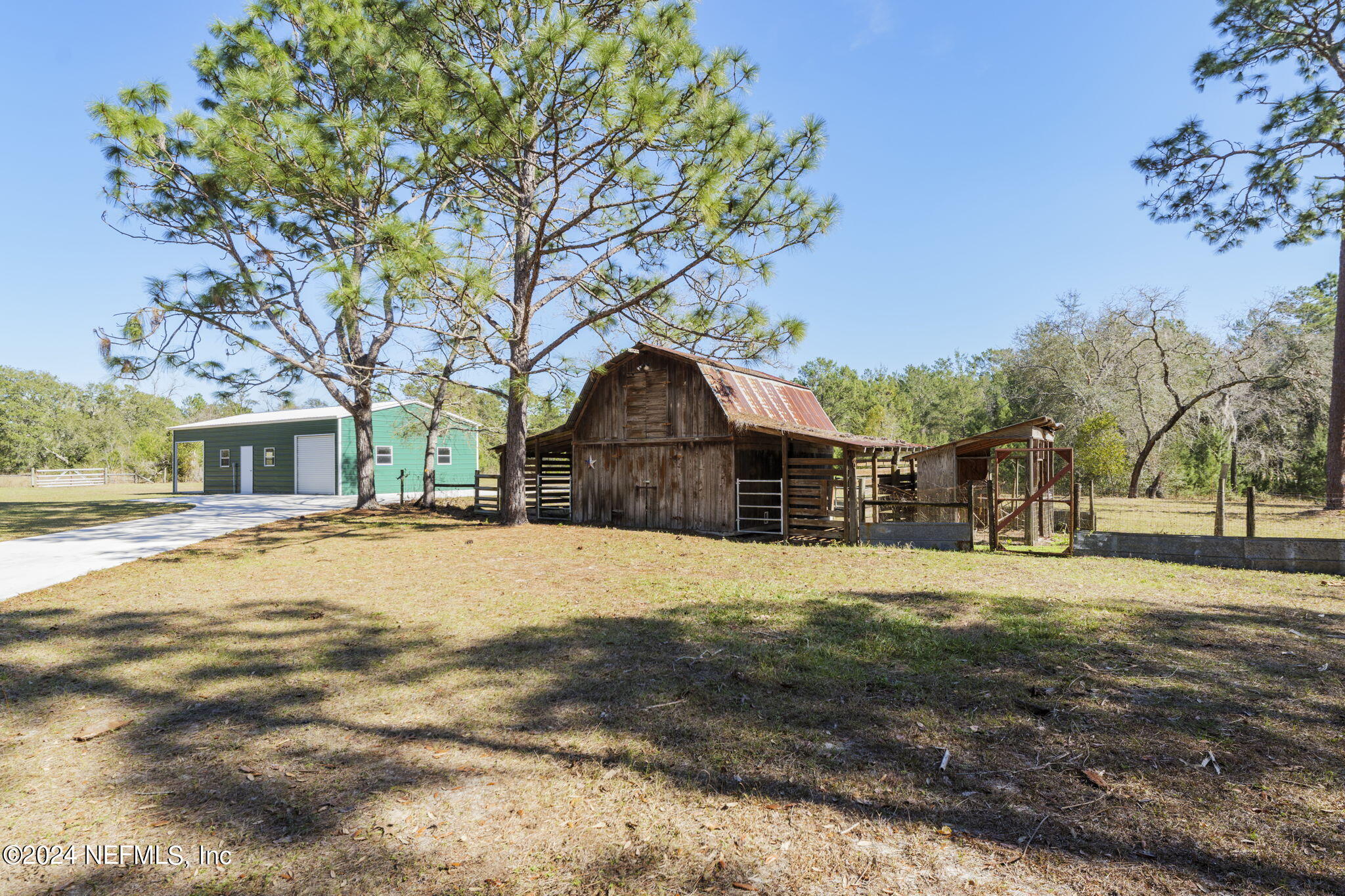 8203 Forest Hills Road Melrose, FL 32666 - Photo 42 of 50 8203_FHR-37