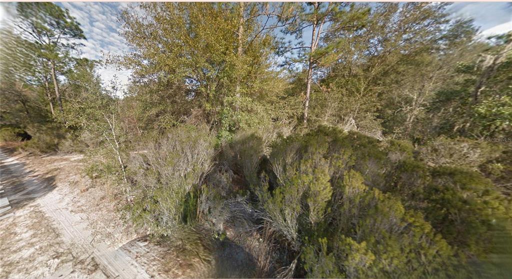 7 Northeast 100th Court Bronson, FL 32621 - Photo 2 of 4 a view of a yard