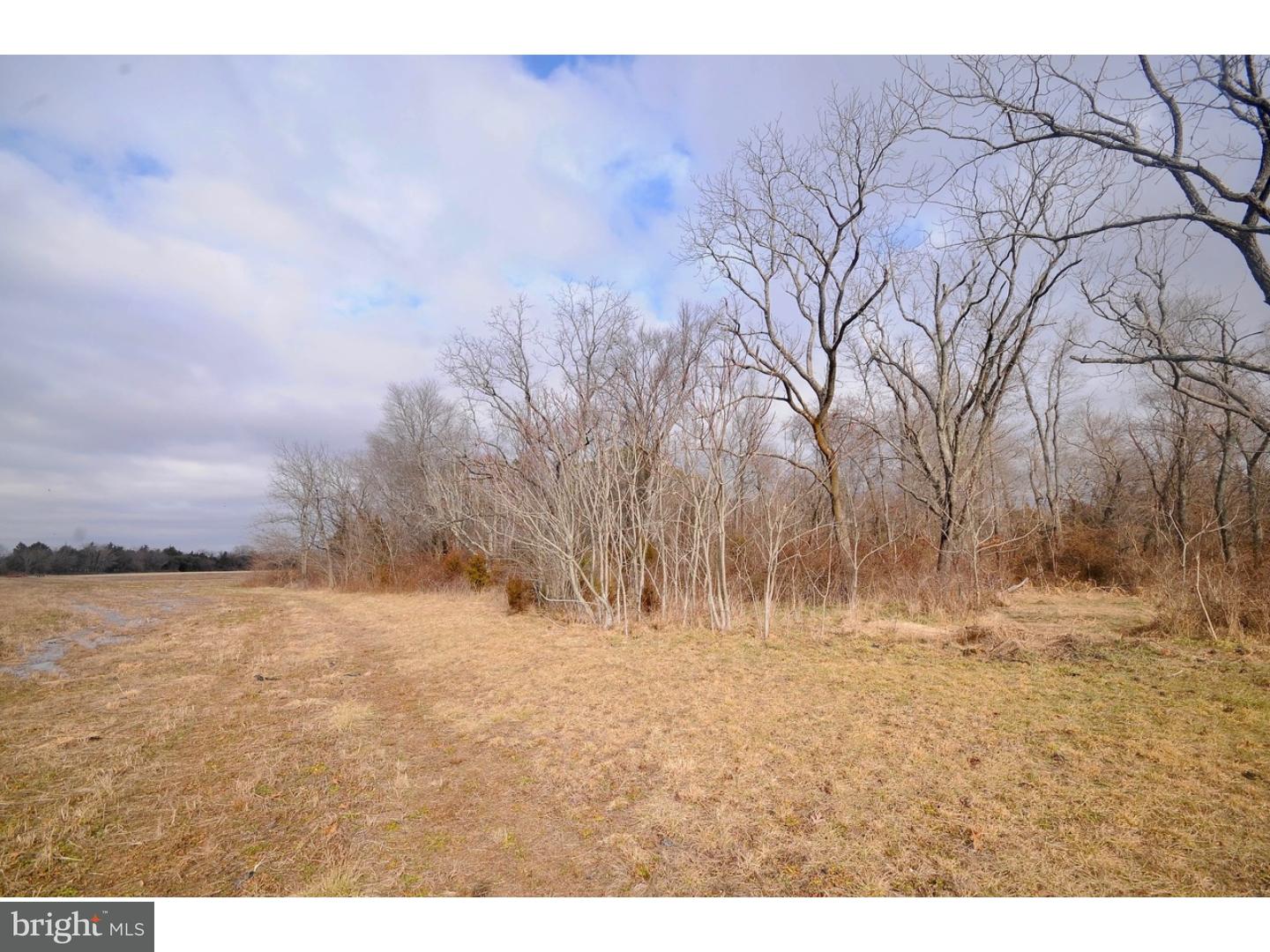 178 Wheat Road Buena, NJ 08310 - Photo 22 of 23