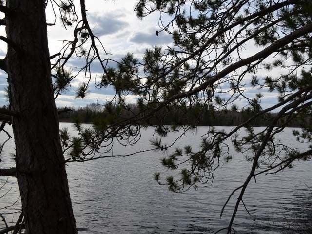 Lot 3 Forrester Road Tomahawk, WI 54487 - Photo 10 of 20 Gallery Image 10