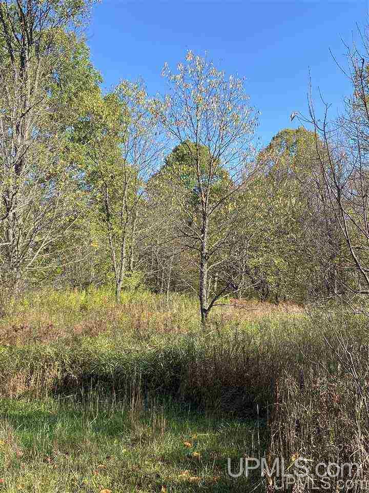 T-wi Wi 54534 Road Hurley, WI 54534 - Photo 26 of 35