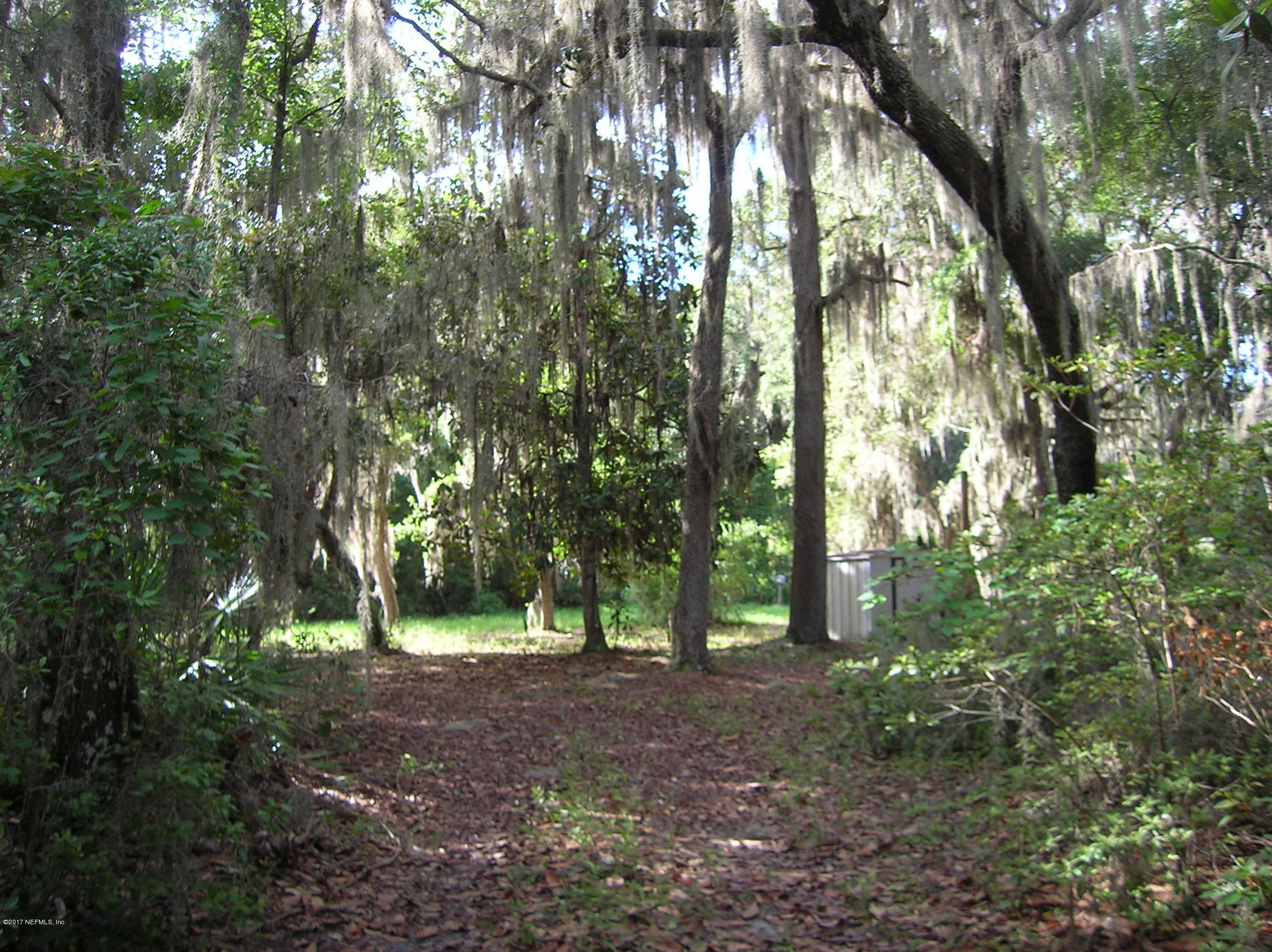 278 Union Camp Road Crescent City, FL 32112 - Photo 37 of 46 More Trees