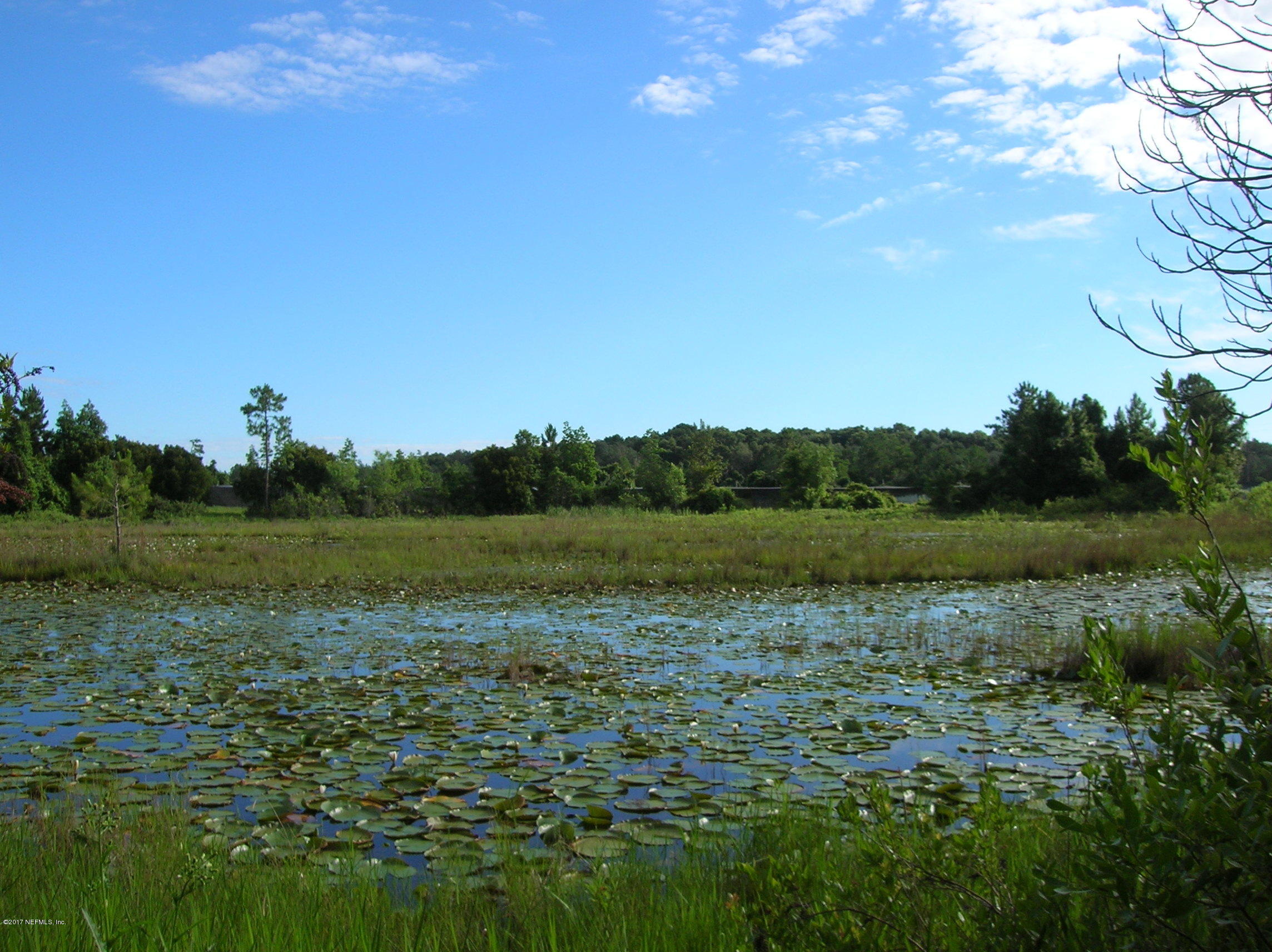 278 Union Camp Road Crescent City, FL 32112 - Photo 41 of 46 Pond