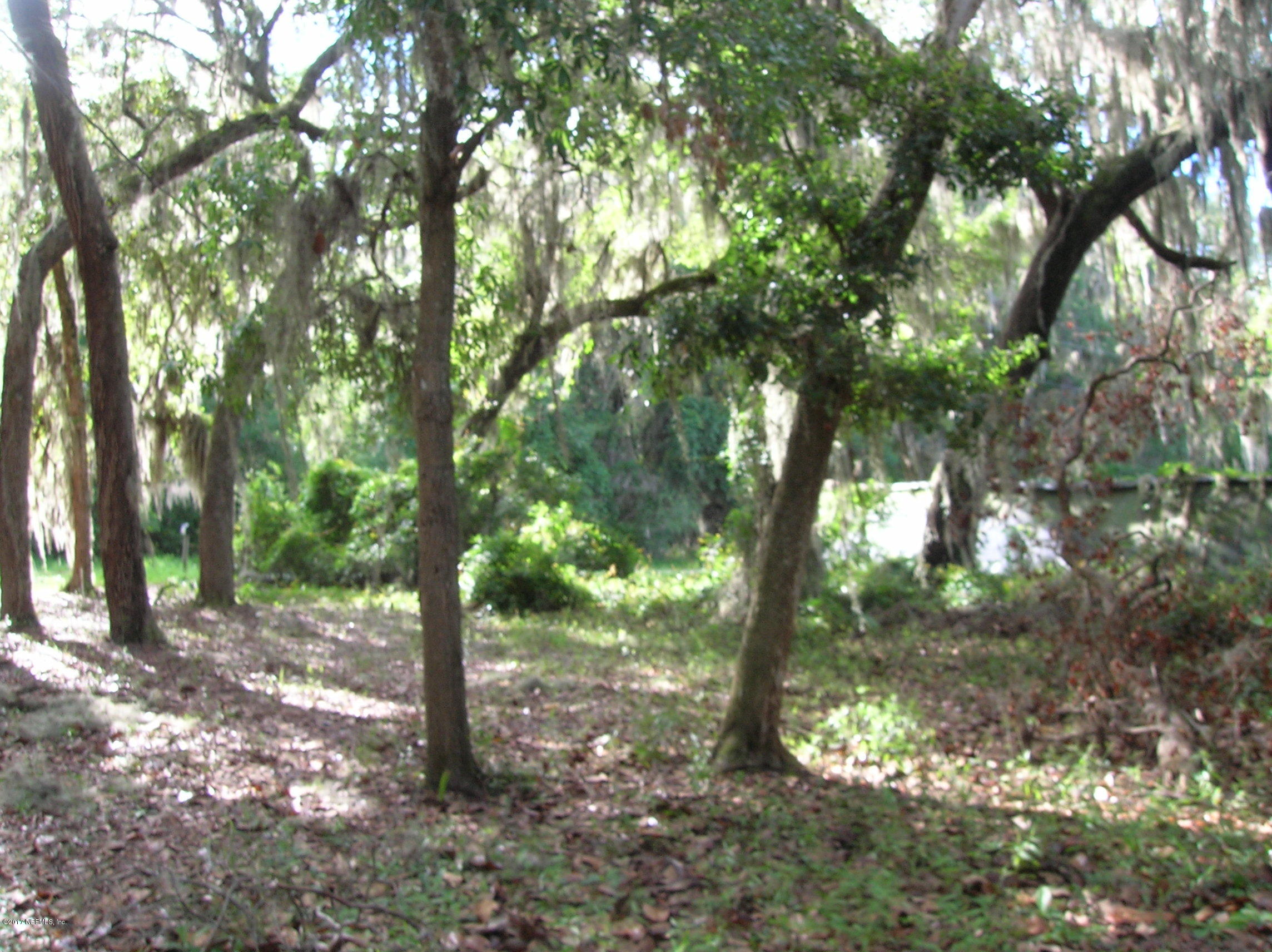 278 Union Camp Road Crescent City, FL 32112 - Photo 44 of 46 Trees