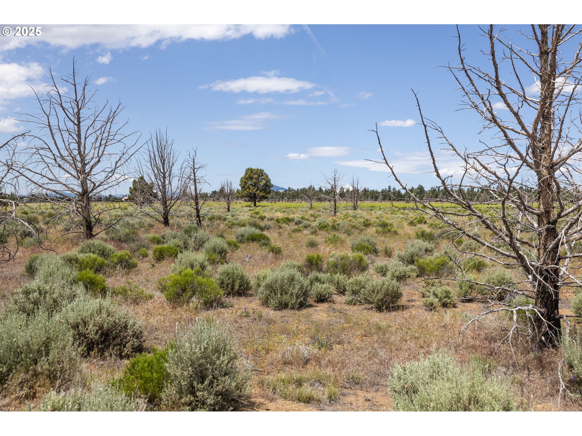 0 Highway 20 Bend, OR 97703 - Photo 2 of 35