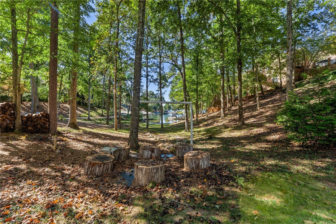 211 Wynmere Way Seneca, SC 29672 - Photo 39 of 49