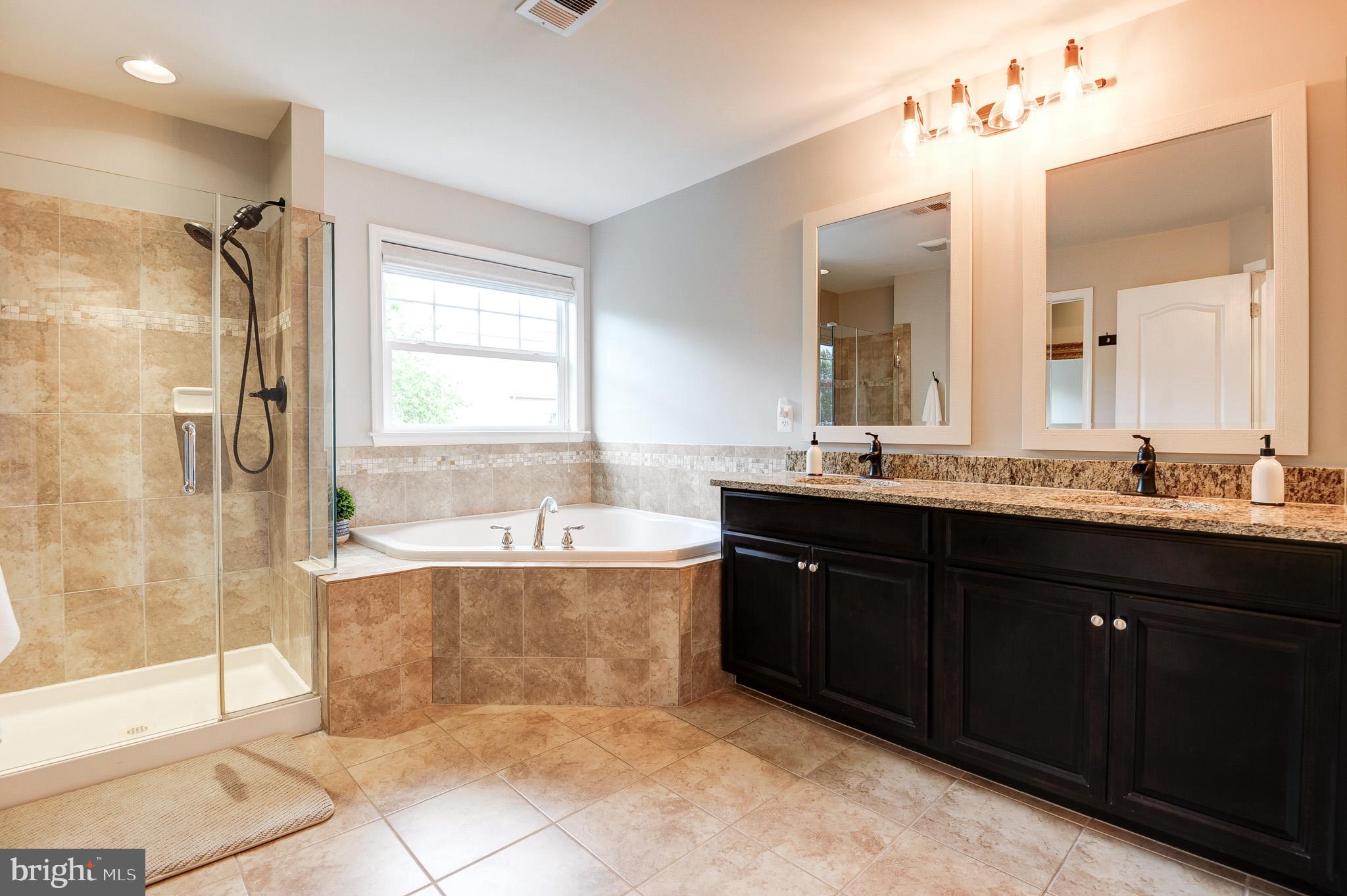 23372 Minerva Drive Brambleton, VA 20148 - Photo 31 of 61 a bathroom with a tub sink shower and mirror