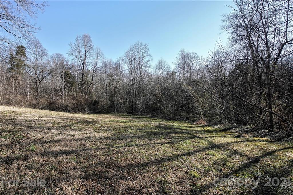 1453 Barger Road Salisbury, NC 28146 - Photo 28 of 41 a view of a yard with a tree