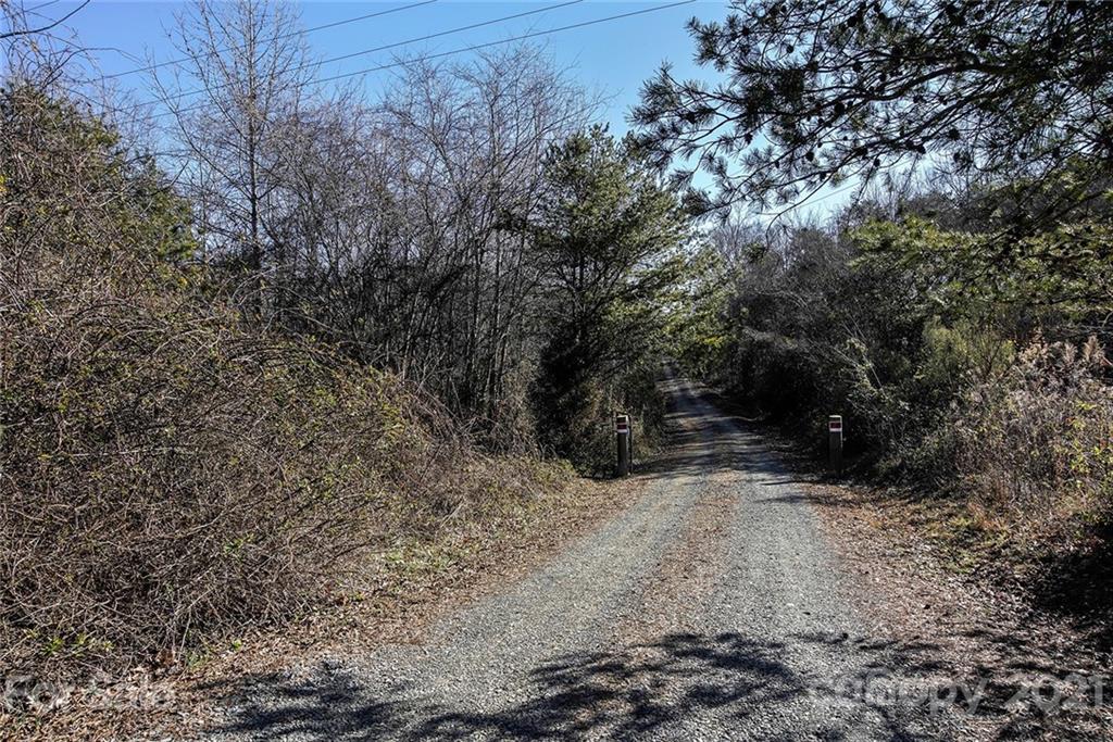 1453 Barger Road Salisbury, NC 28146 - Photo 33 of 41 a view of a yard with trees
