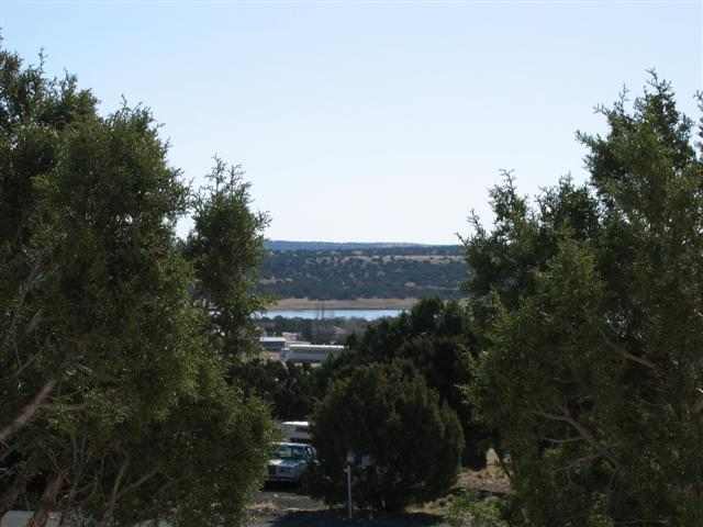 117 Alpine Lane Concho, AZ 85924 - Photo 5 of 5