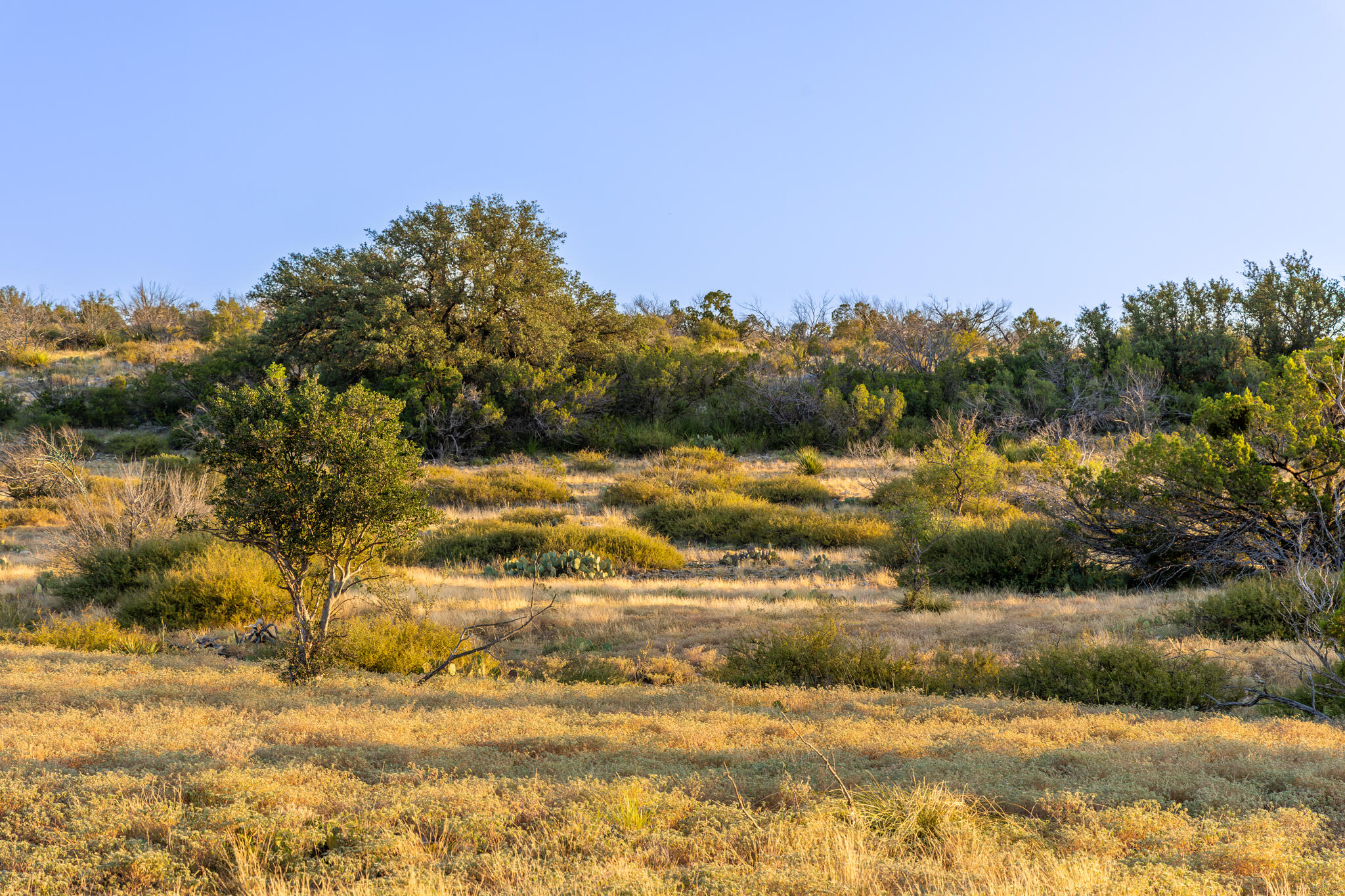Tbd Windmill Road Ozona, TX 76943 - Photo 26 of 26 Leonard Ranch-25