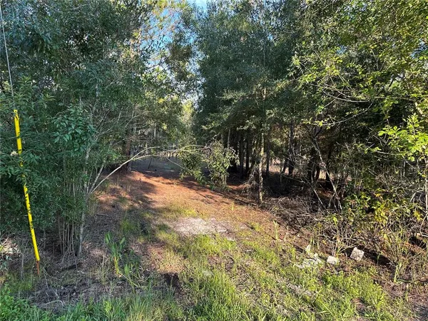 $20,000 | 8338 Hardstone Drive, Webster, FL 33597