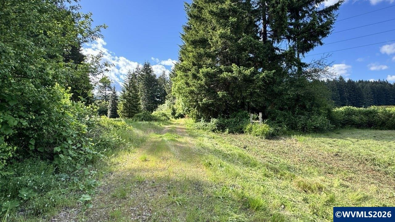 23180 Decker Road Philomath, OR 97370 - Photo 4 of 7