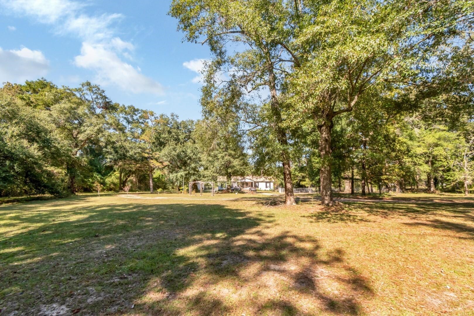 6405 1st Street Wilmer, AL 36587 - Photo 19 of 38 View of green lawn featuring view of wooded area