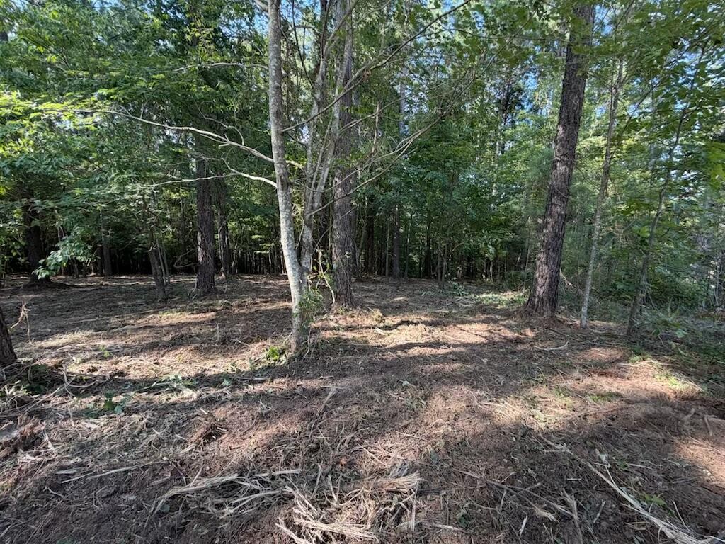 3715 Split Rail Way Guild, TN 37340 - Photo 17 of 44 Gallery Image 17