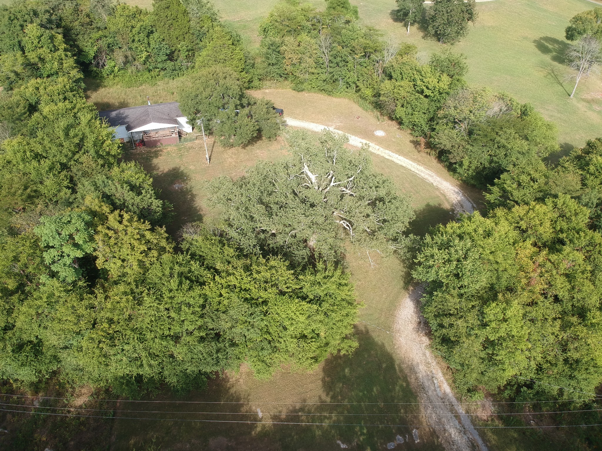 225 Opossum Hollow Road Watertown, TN 37184 - Photo 5 of 29 a view of a lake view with beach
