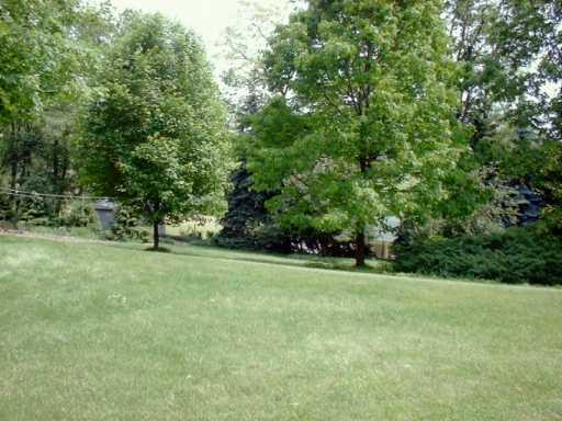 120 County Line Road Bridgeville, PA 15017 - Photo 8 of 8