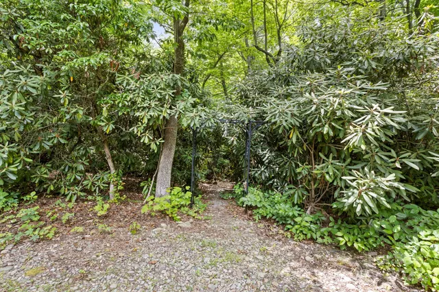 a backyard of a house with lots of plants and entertaining space