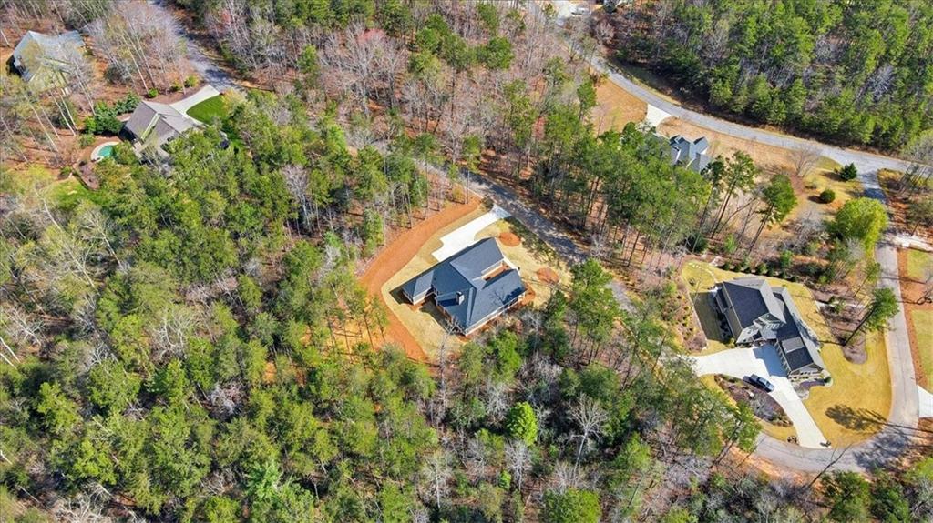 196 Red June Lane Clarkesville, GA 30523 - Photo 55 of 69 an aerial view of house with yard and outdoor seating
