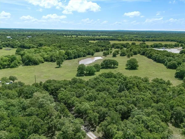 a view of a lush green forest with lots of trees